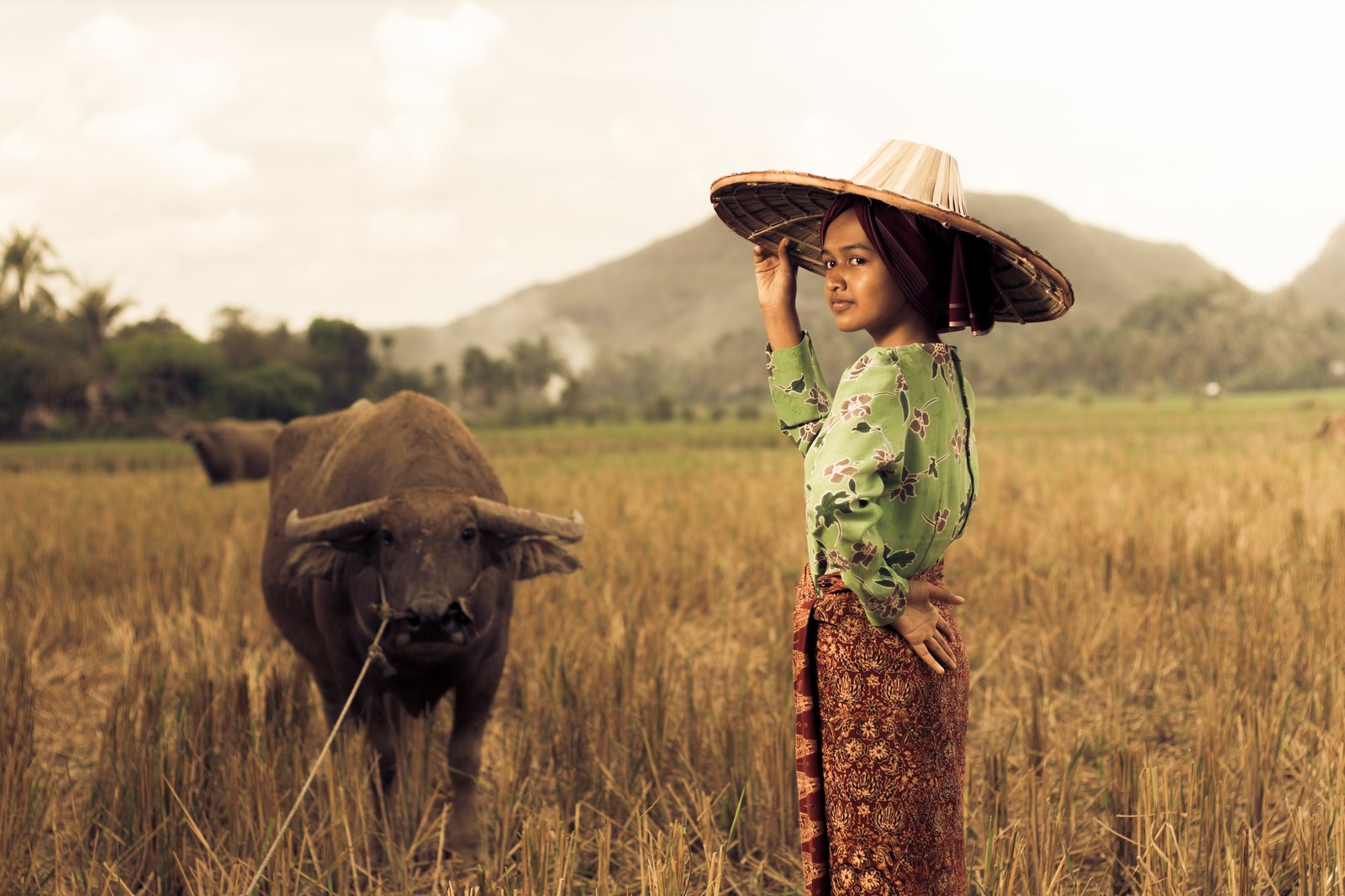 Niña toraja con un búfalo en Sulawesi