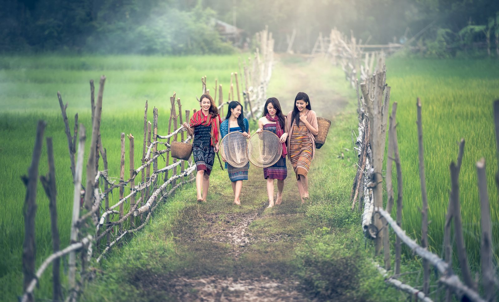 Niñas caminando entre arrozales