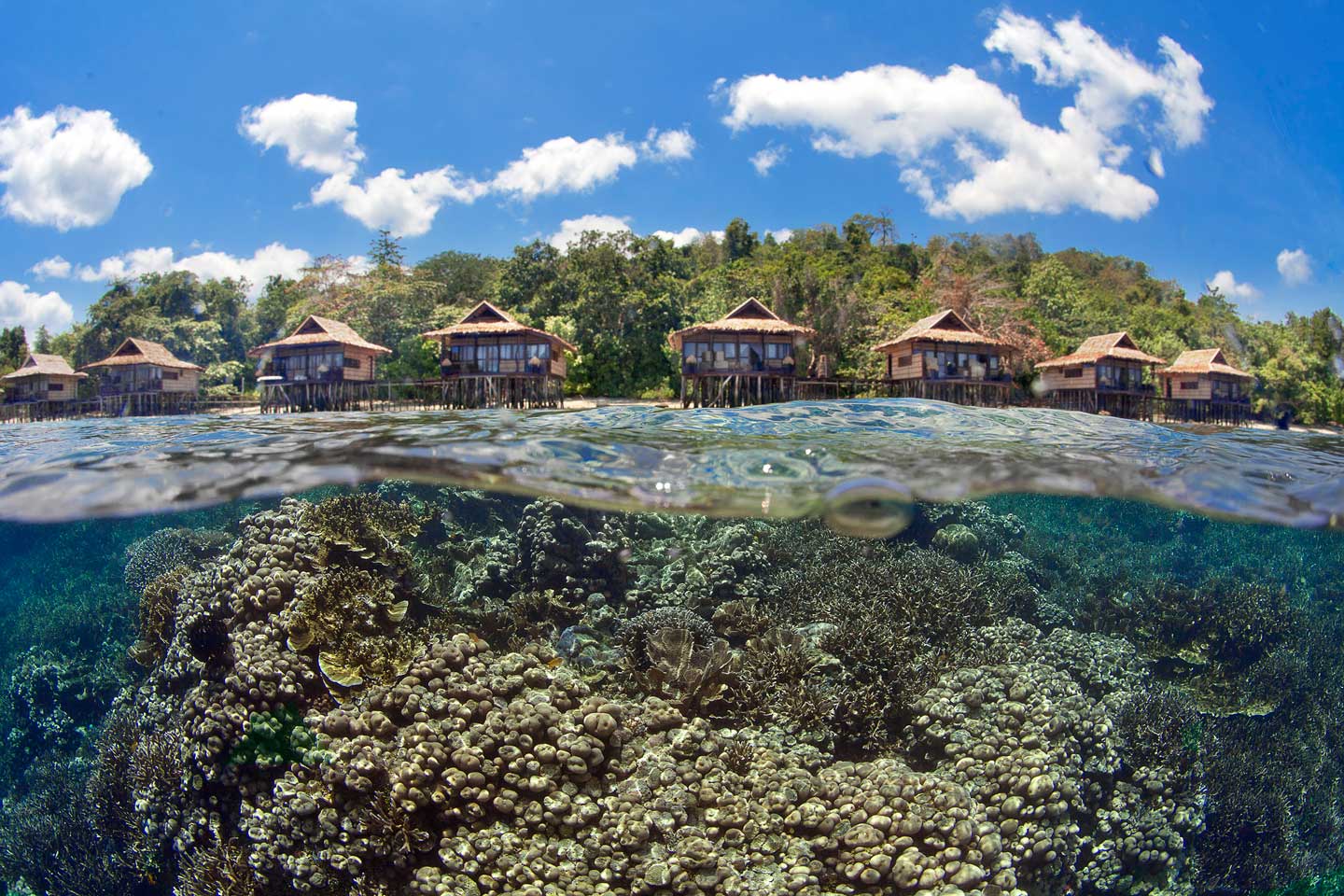 Viajes a Raja Ampat: bungalows sobre el arrecife