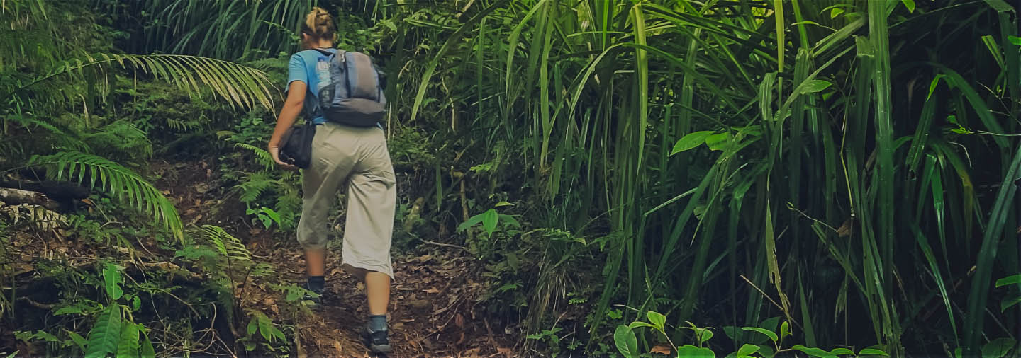Viajero con mochila entre la hierba alta en Indonesia