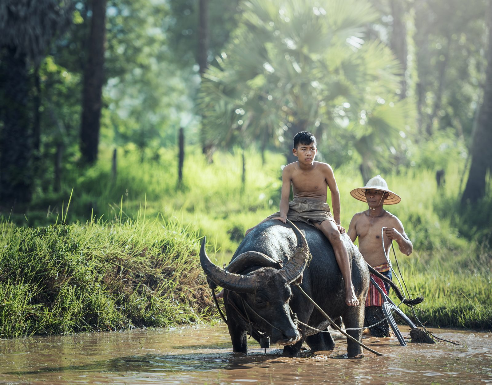 JAVA - BALI - GILI, itinerario 13 noches