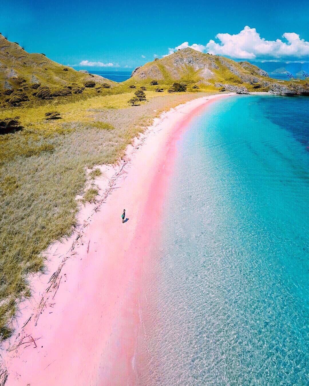 playa rosa komodo